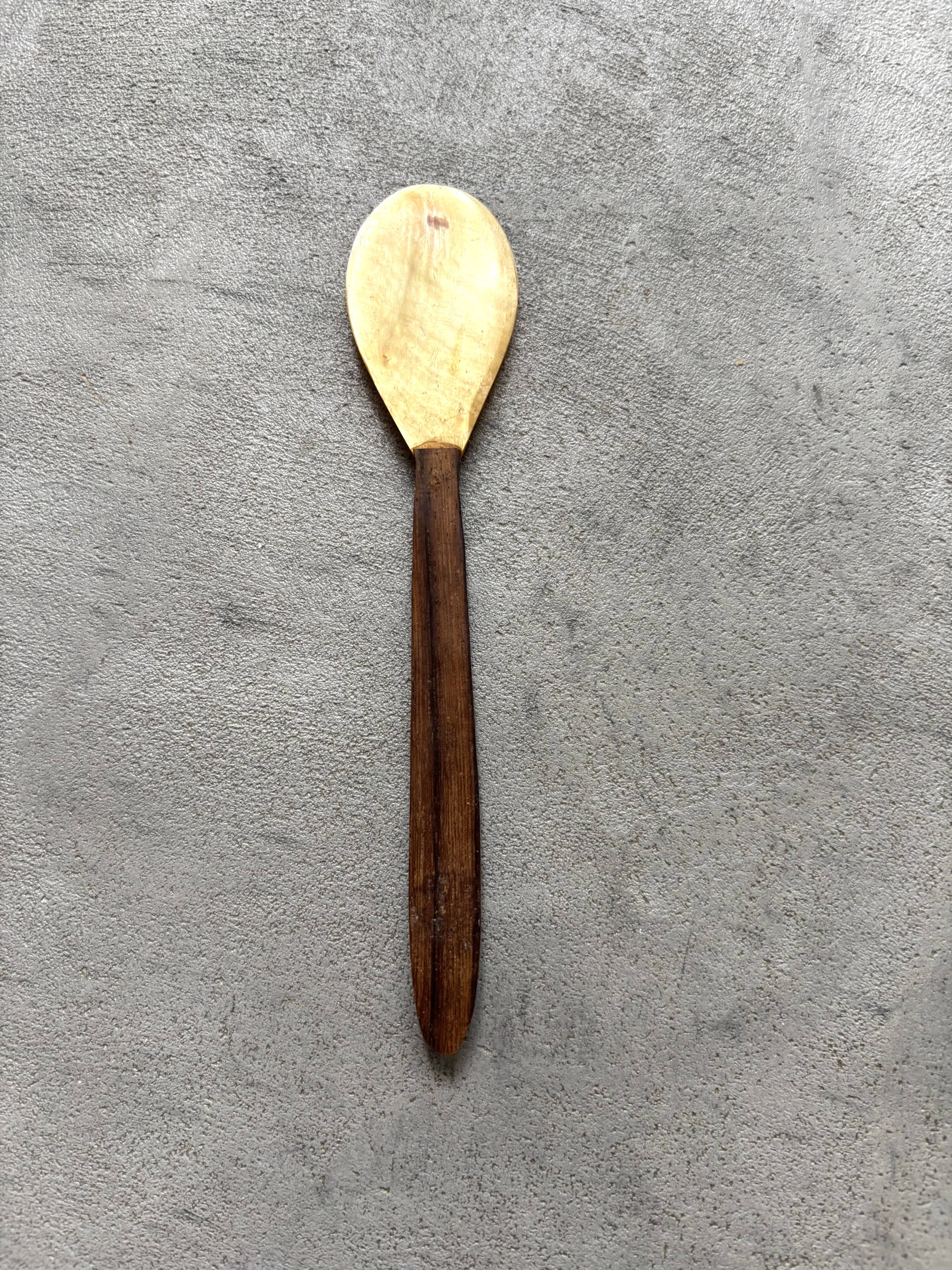 Mother-of-pearl and wood spoon