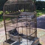 1900 Bird Cage Feeder and Drinker