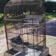 1900 Bird Cage Feeder and Drinker