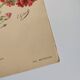 Botanical engraving from 1897 - Japanese primrose - original old flower plate by E.Godard
