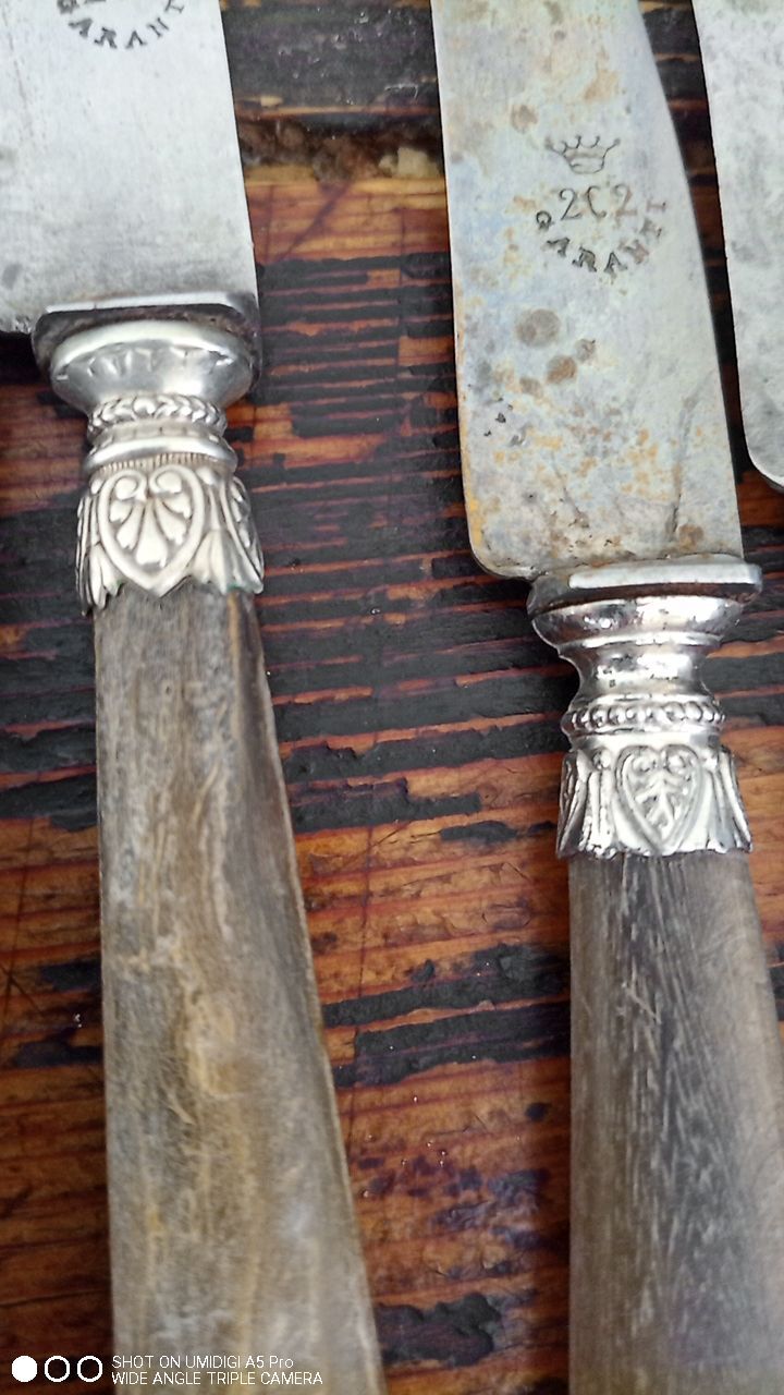 10 horn handle knives including 4 Berthier Valence - 5 logo with the crown 202