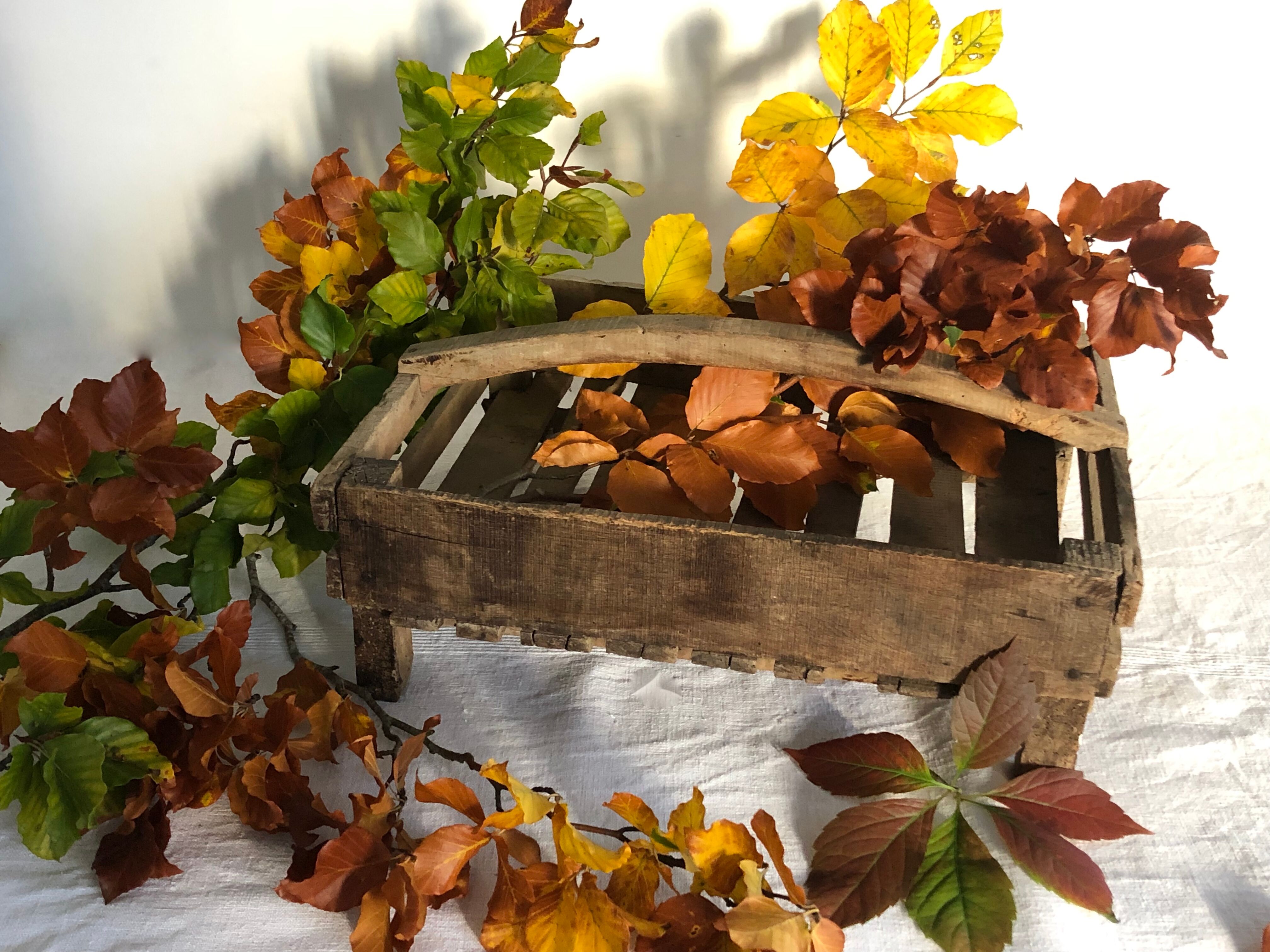 Wooden shelf with handle, garden basket