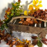 Wooden shelf with handle, garden basket