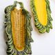 Set of 2 artisanal corn cobs in slurry from Portugal
