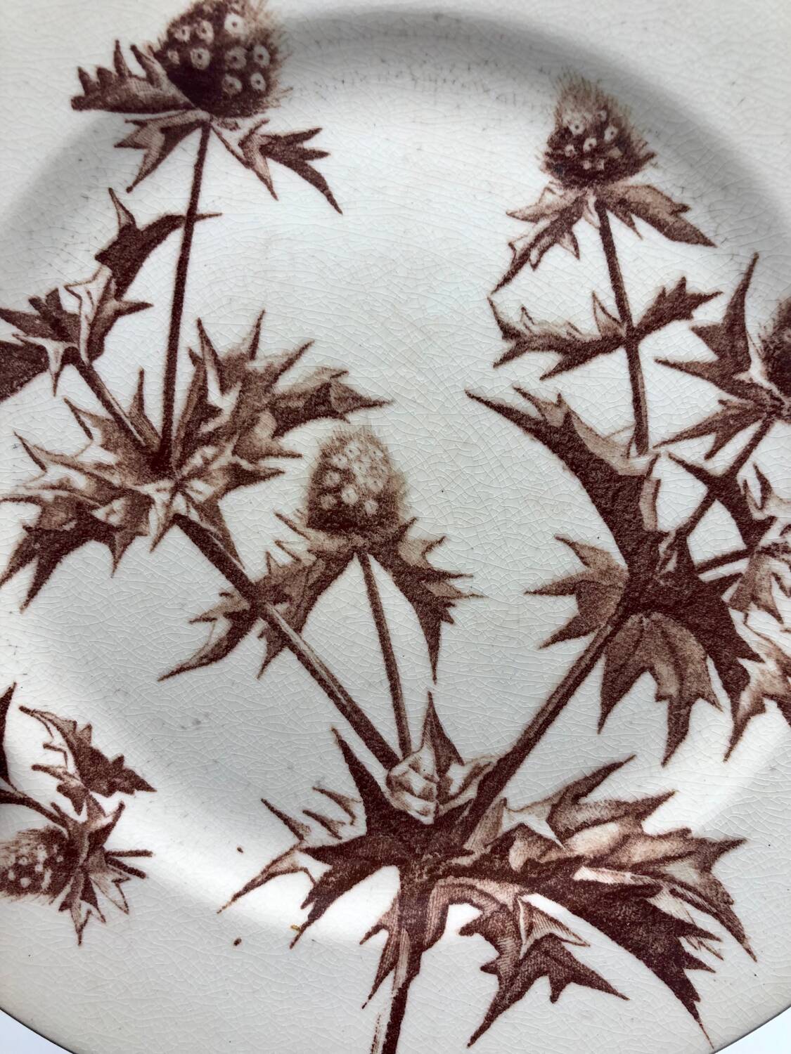 Jules Vieillard Bordeaux dessert plates