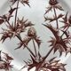 Jules Vieillard Bordeaux dessert plates