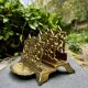 Brass magazine and letter holder in Louis XV baroque style.