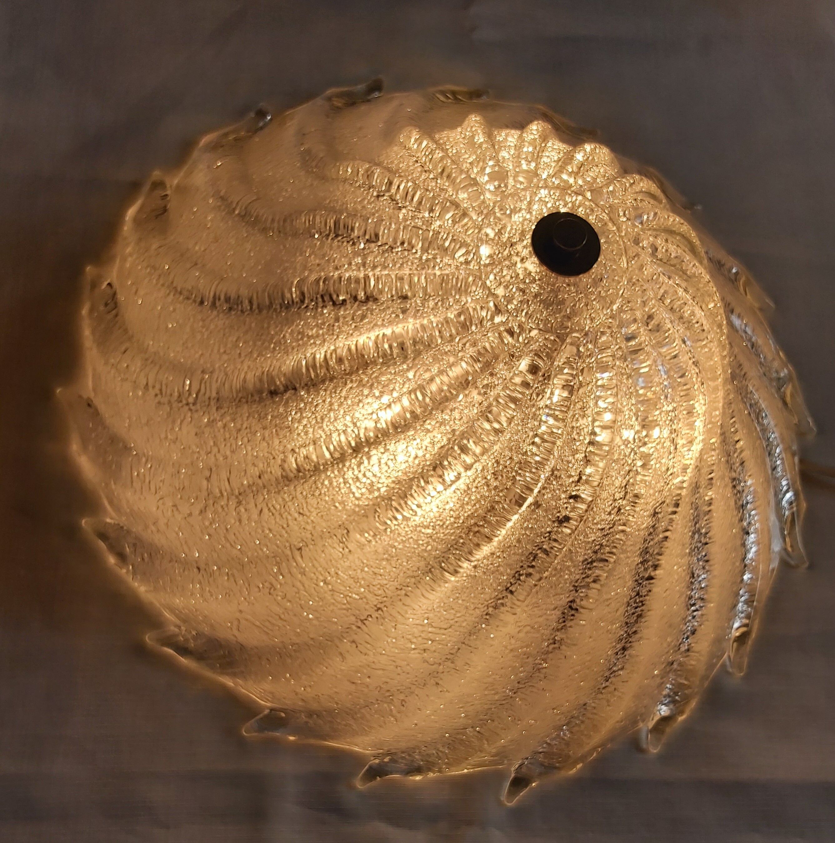 Pair of ceiling ceilings, Murano, Italy