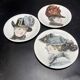 Service de 11 assiettes en porcelaine de paris