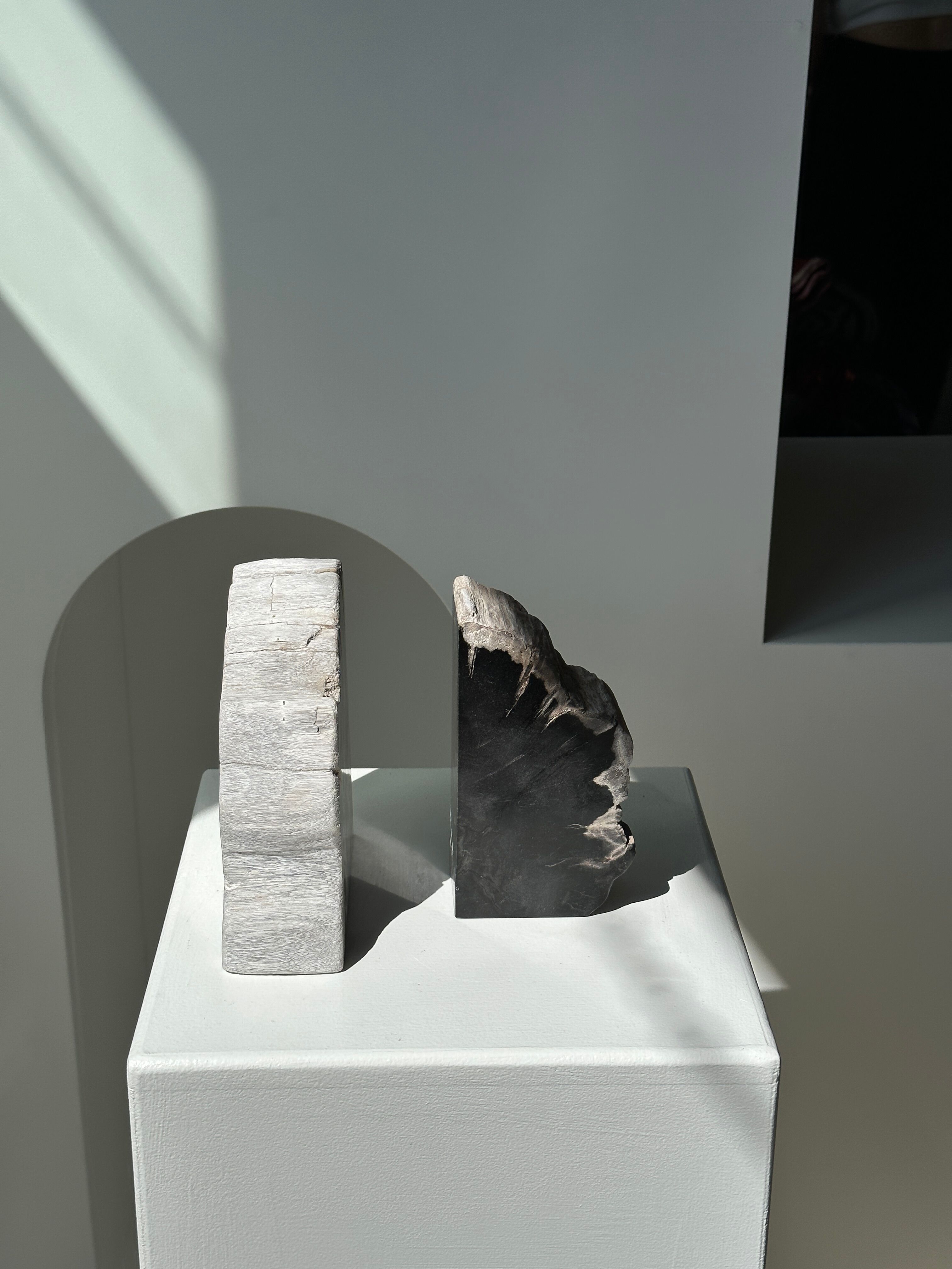 Black petrified wood bookend H17 L17 P6