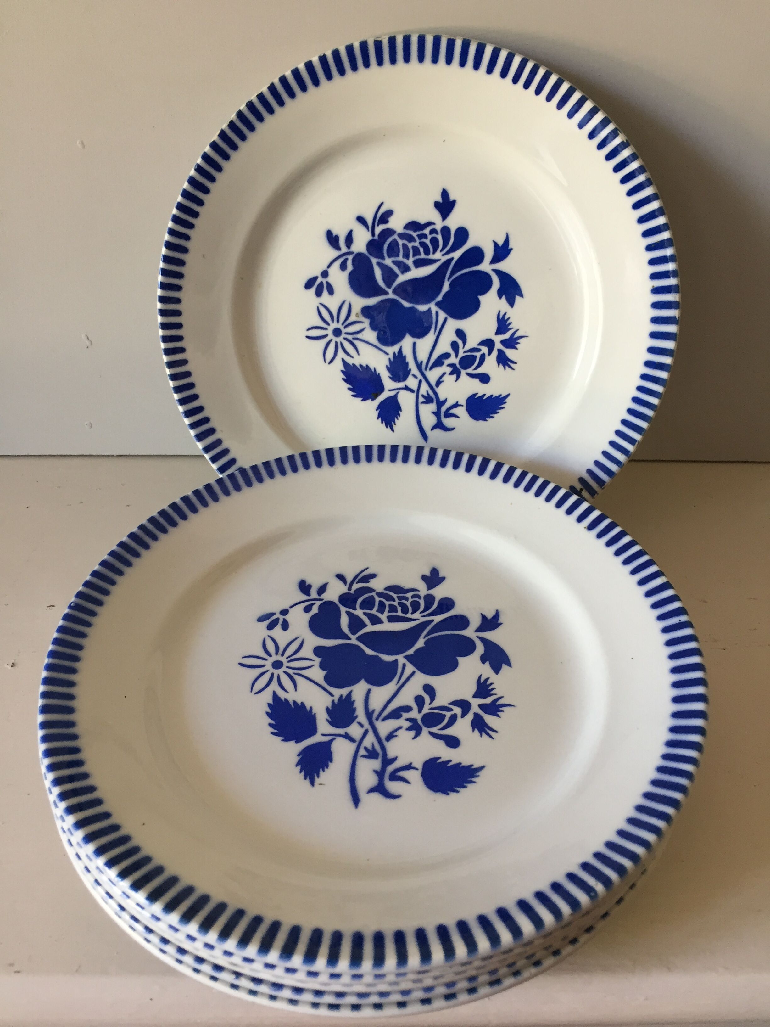 6 dinner plates - lunéville model evian