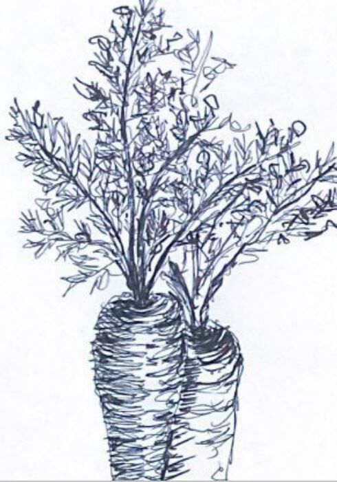 Illustration "Harvest" - A3