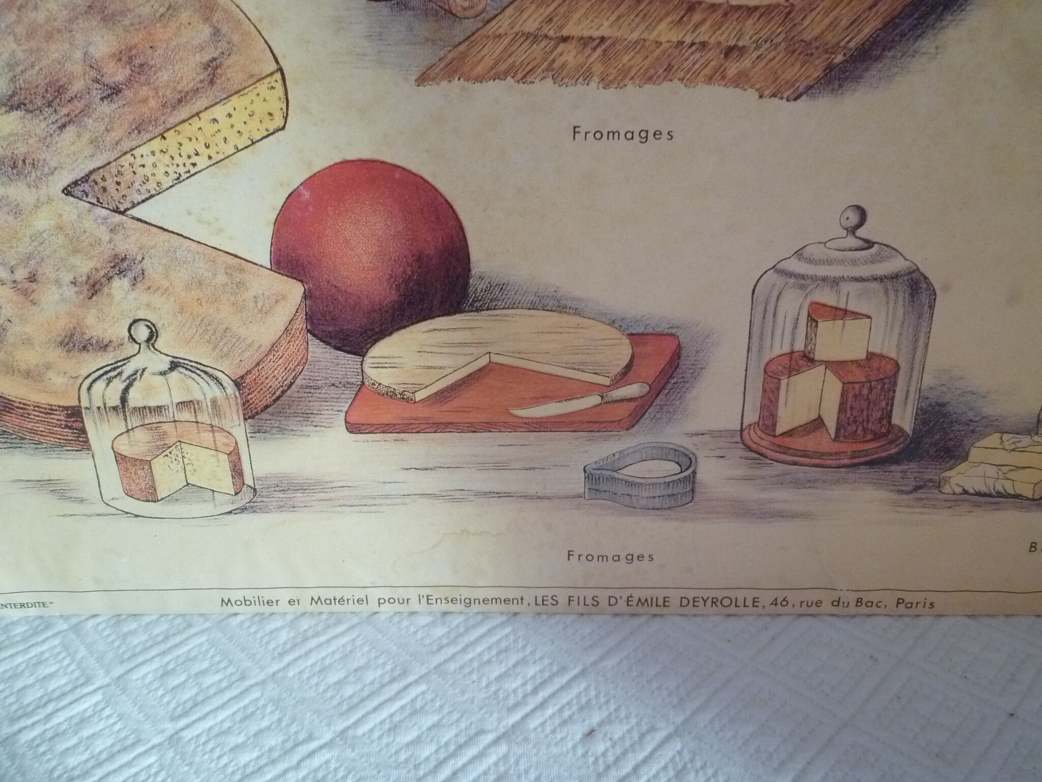 Affiche ancienne "Le lait" de Deyrolle