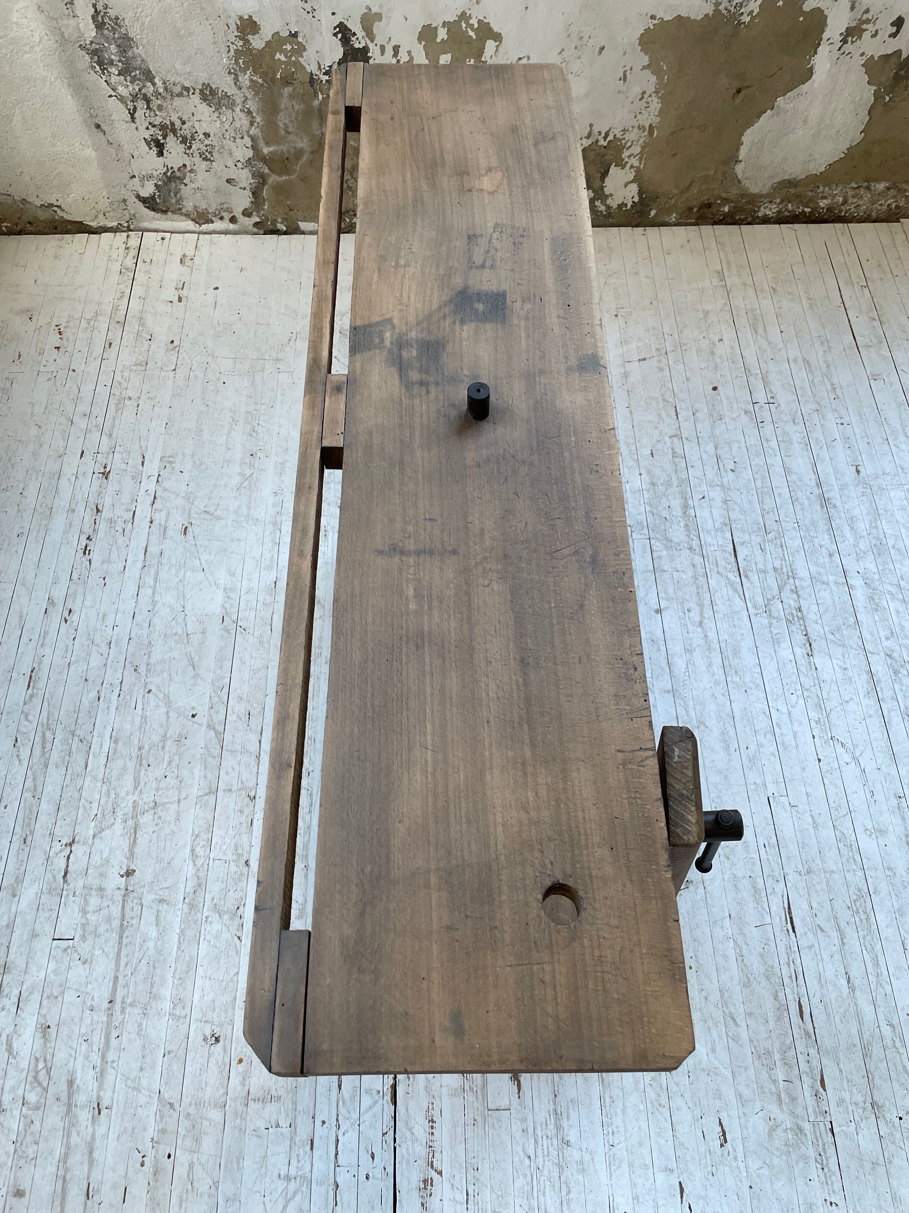 Established XS in cherry tree