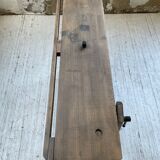 Established XS in cherry tree