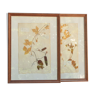 Pair of herbarium boards under glass NINETEENTH century