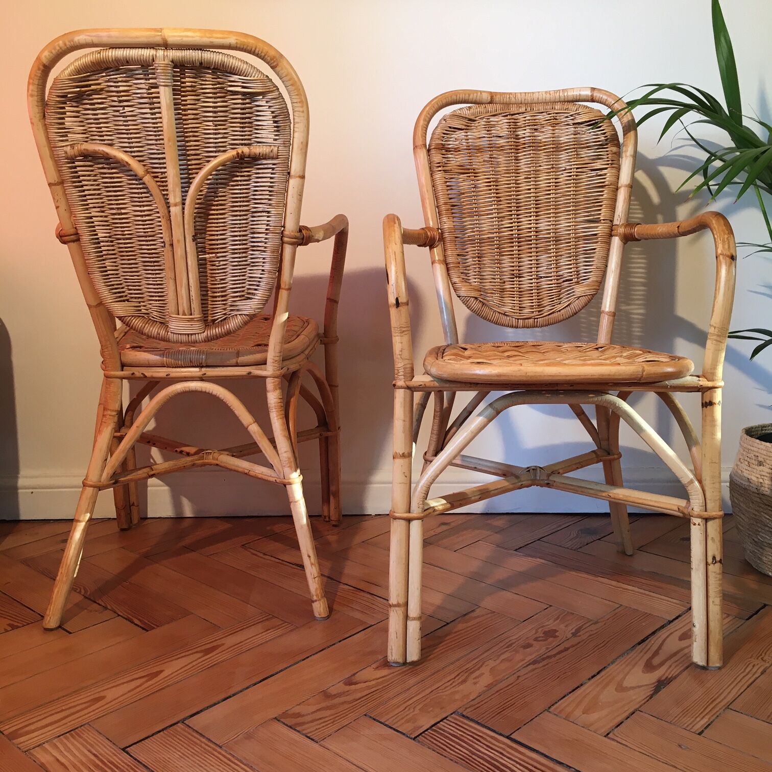 Pair of light rattan chairs