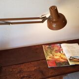 Industrial lamp with vice
