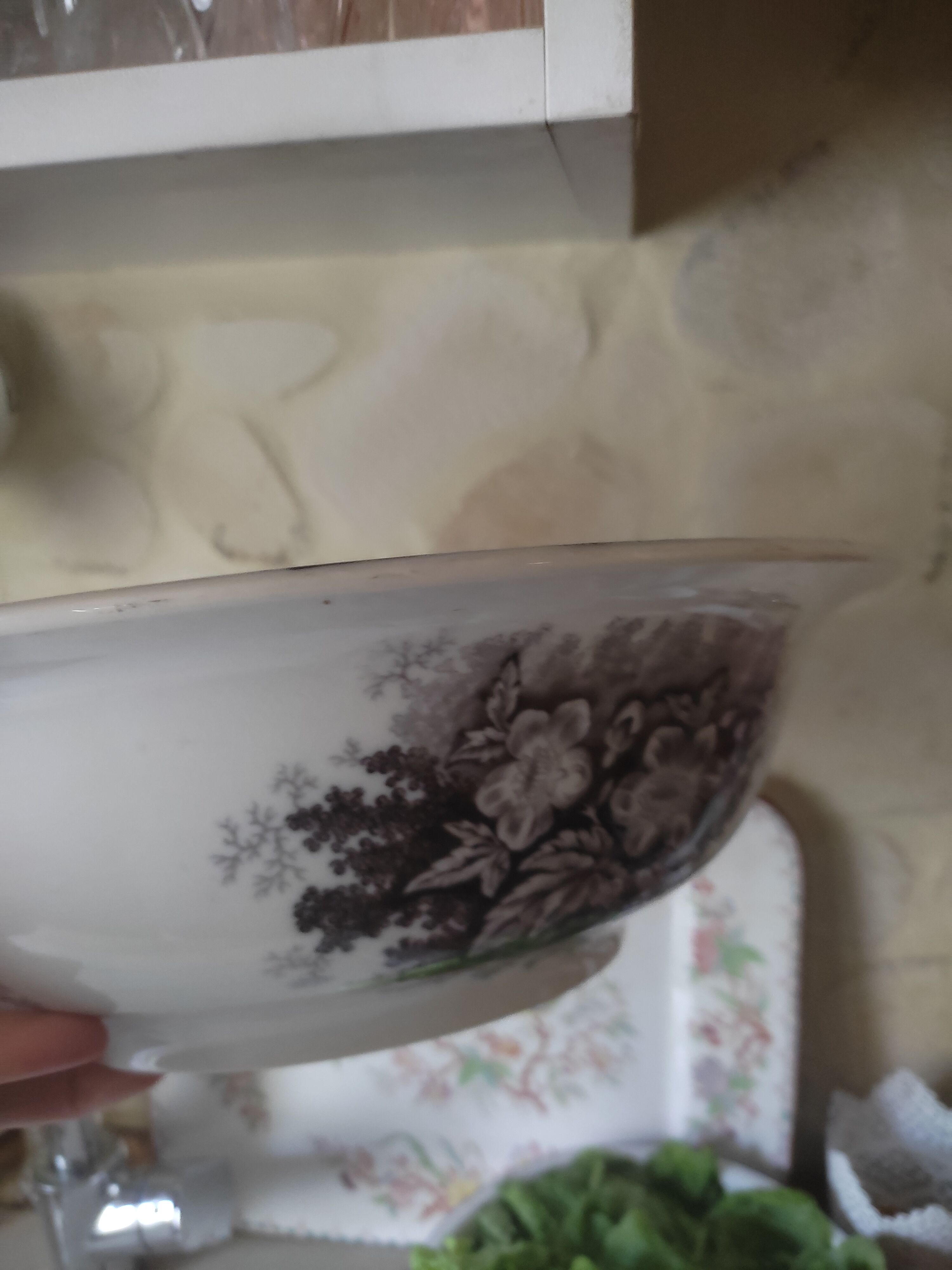 Salad bowl Sarreguemines old