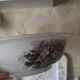 Salad bowl Sarreguemines old