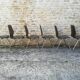 Chaises Pagholz