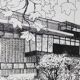 Dessin La maison de verre