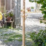 Wooden coat rack