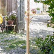 Porte-manteau en bois