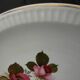 6 assiettes plates en faïence de SARREGUEMINES. Modèle Richemond.