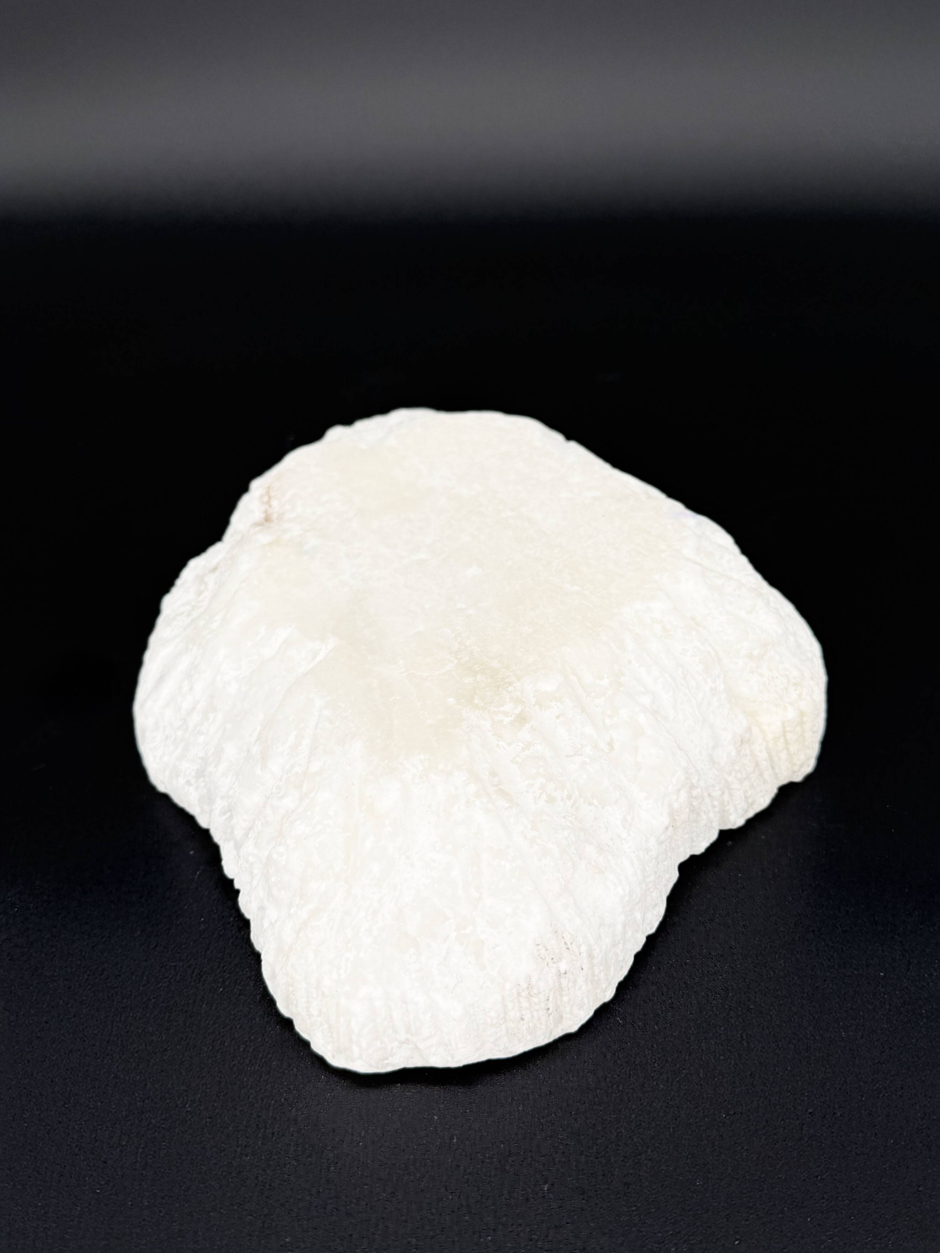 Organic catchall in natural white stone