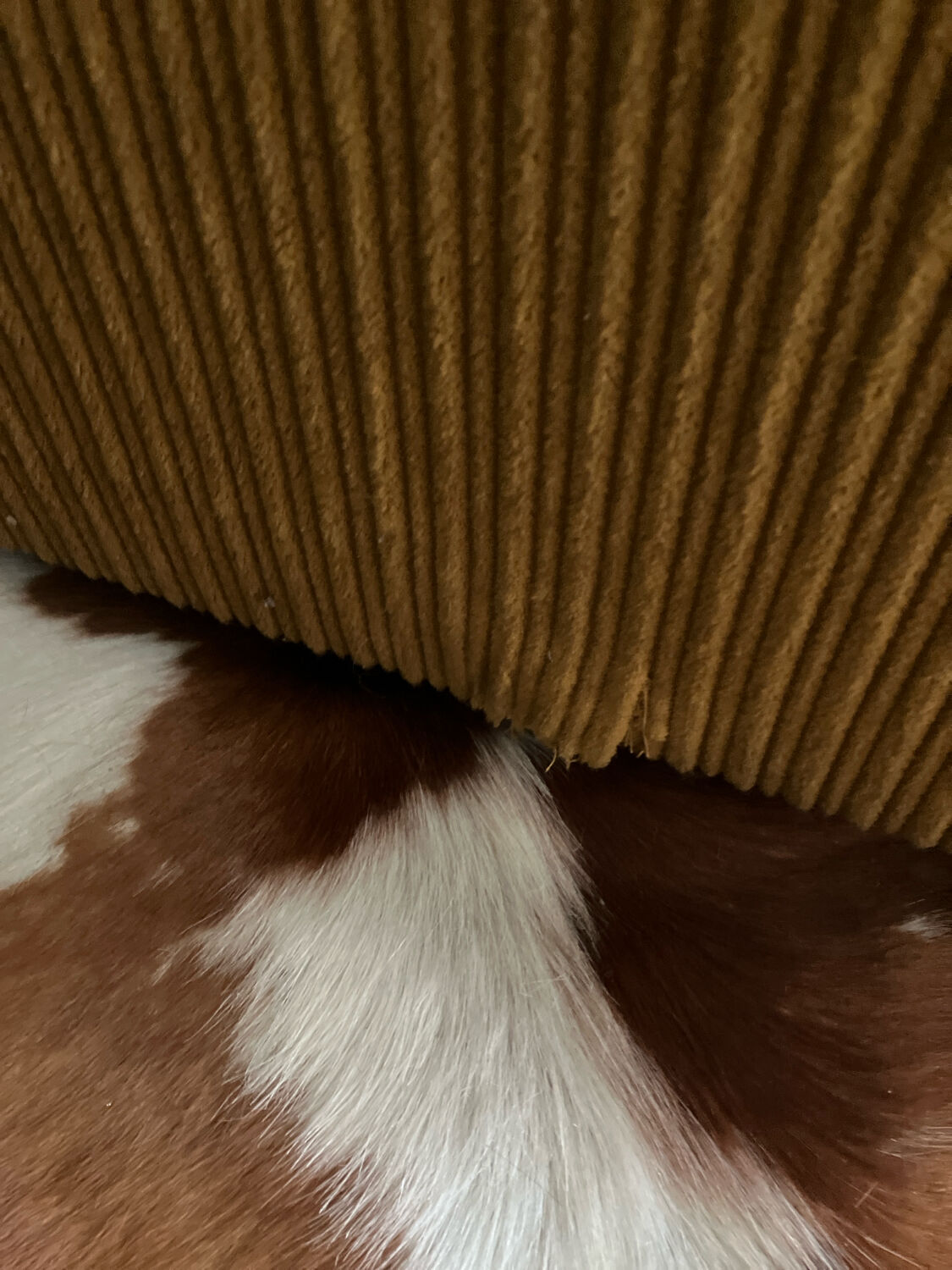 3-seater velvet sofa bed