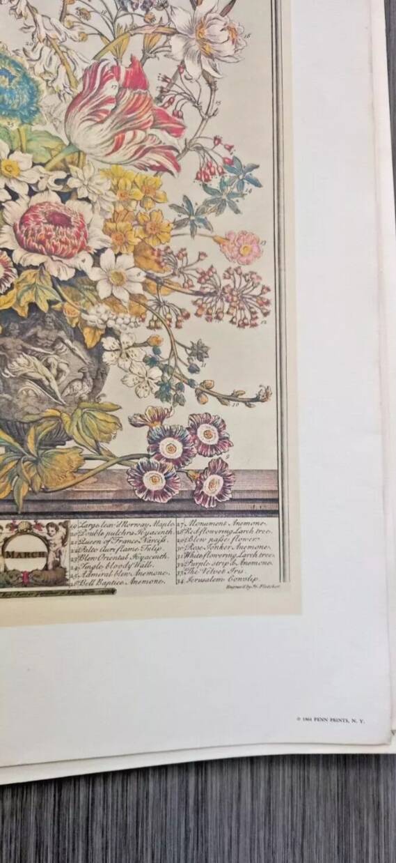 Lot of 19th century Floral Engravings - Vintage Art Print Flowers - 12 months - Robert Furber