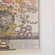 Lot of 19th century Floral Engravings - Vintage Art Print Flowers - 12 months - Robert Furber