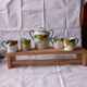 5 cups and a citrus sugar bowl, Lanternier Limoges porcelain