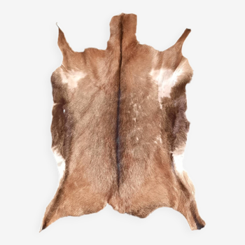 Goat skin 135 cm x 88 cm