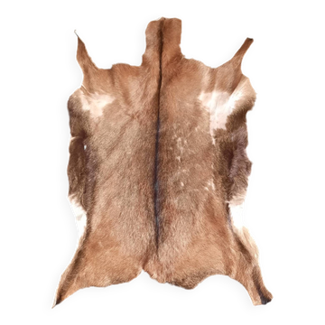 Goat skin 135 cm x 88 cm