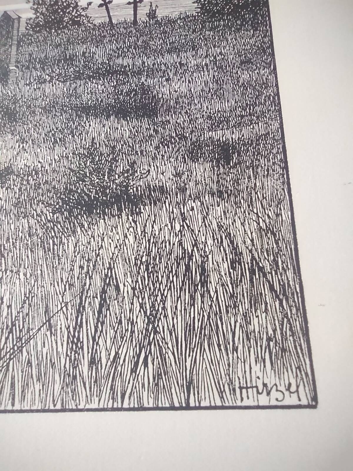 Antique print - Hiddensee cemetery - Lithograph from 1902