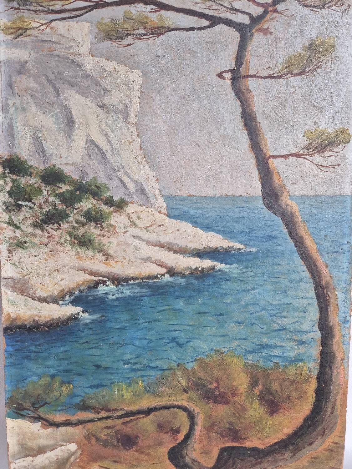Coastal edge with leaning pine - Oil on cardboard