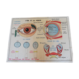 Vintage school poster MDI