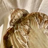 Shell fruit cup Vallauris