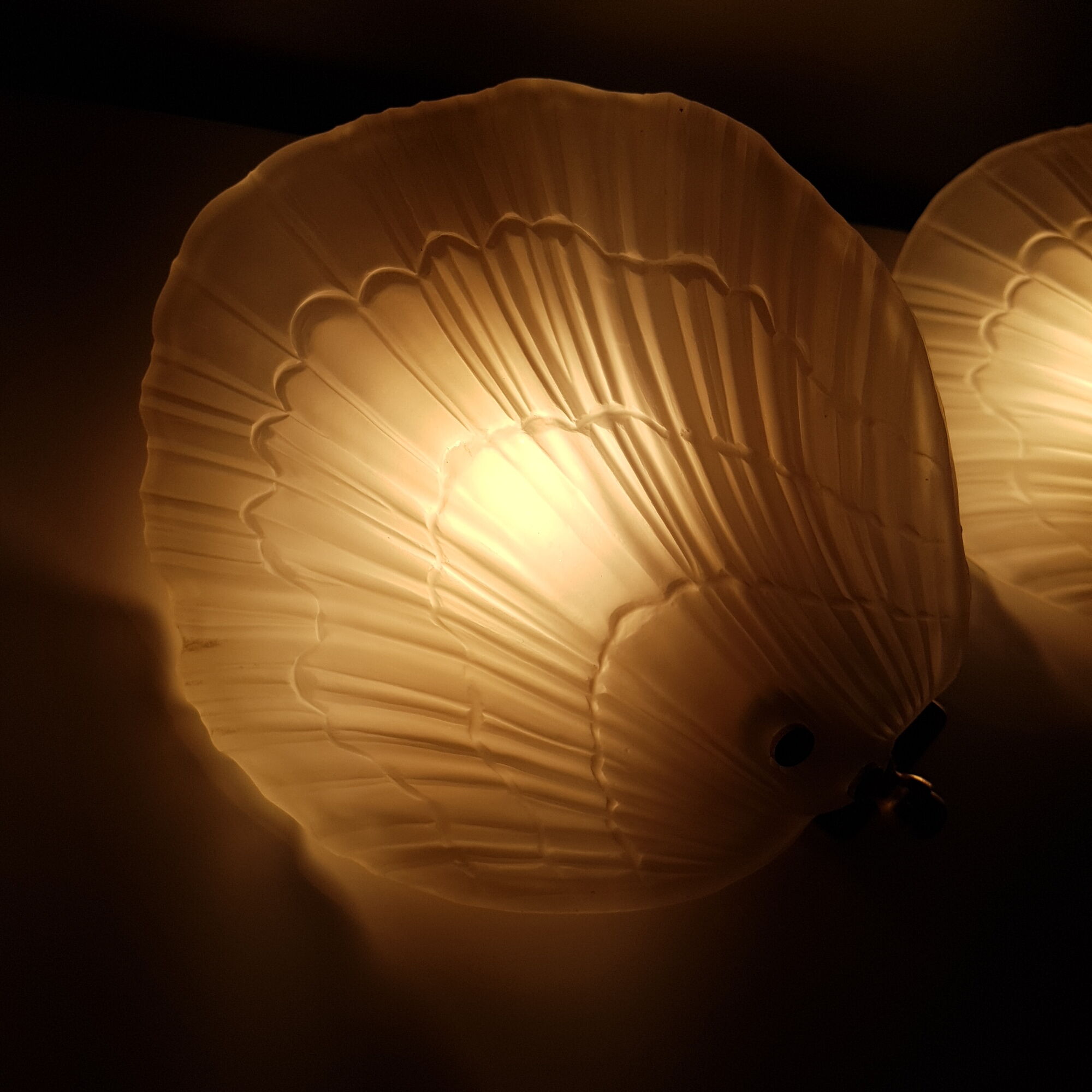 Pair of shell appliques in squeezed pressed glass and golden steel 1970