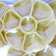 4 oyster plates Gien 2106171