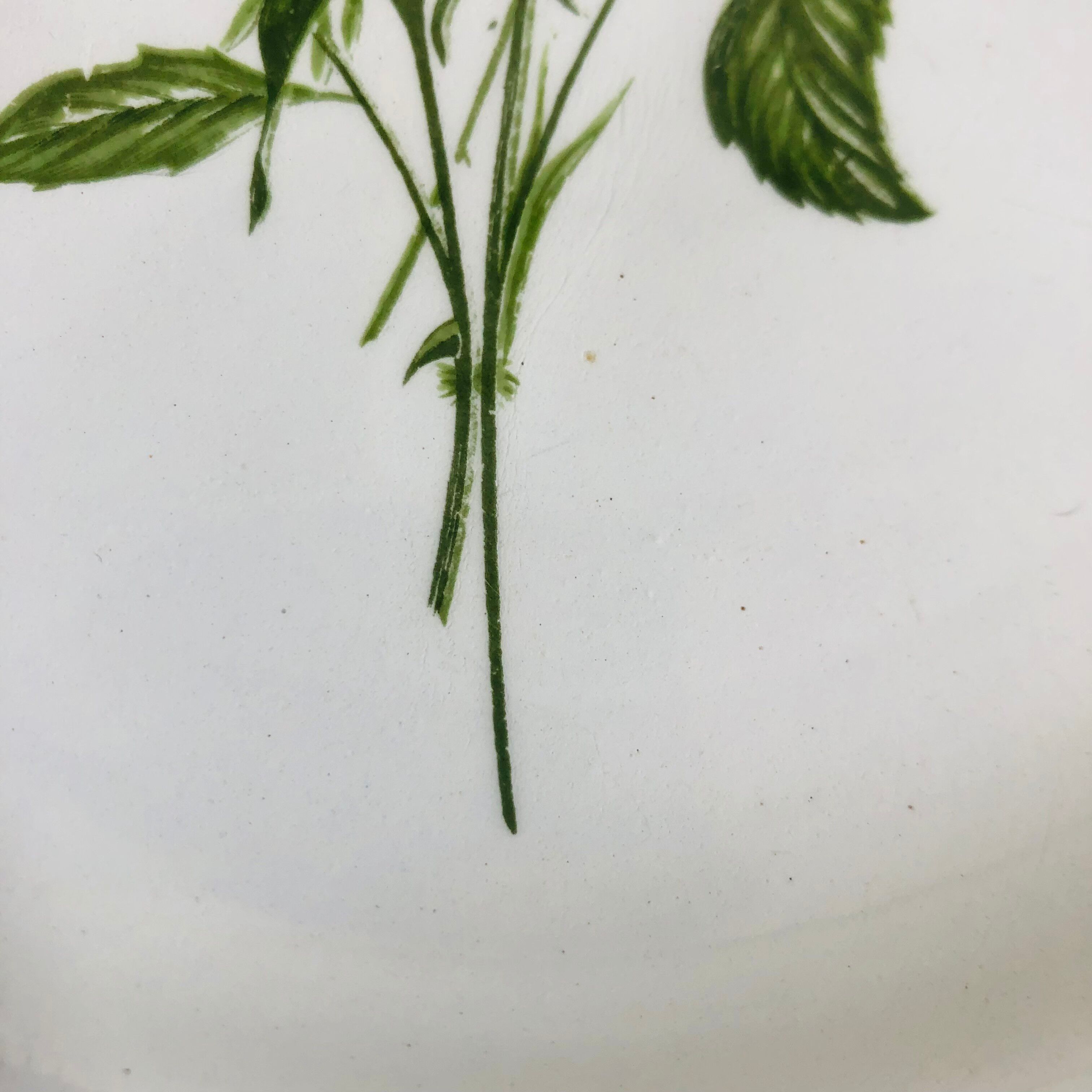 Plate by Amandinoise with a floral art deco rose motif.