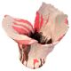 Grey pink ceramic by Rita Alaoui