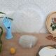 Flat set and 6 shell-shaped glass ramekins