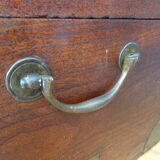 Old marine trunk in camphor tree