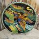 Large Vallauris dish in polychrome ceramic – parrot decoration – signed