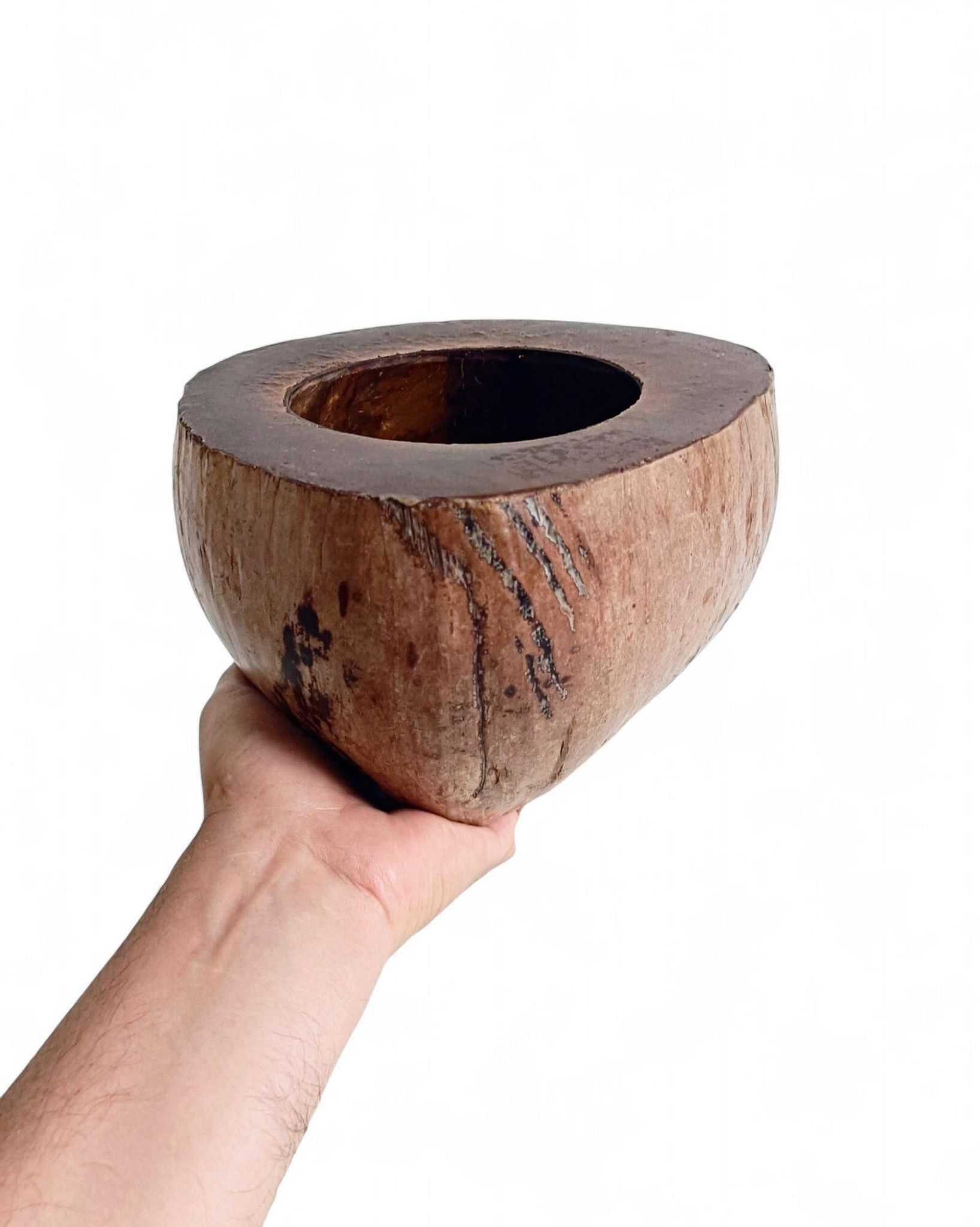 Centre de table Wabi Sabi moderne organique Coco de Mer, sculpté à la main, 19e siècle.