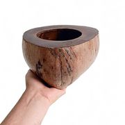 Centre de table Wabi Sabi moderne organique Coco de Mer, sculpté à la main, 19e siècle.