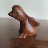 Exotic wood duck